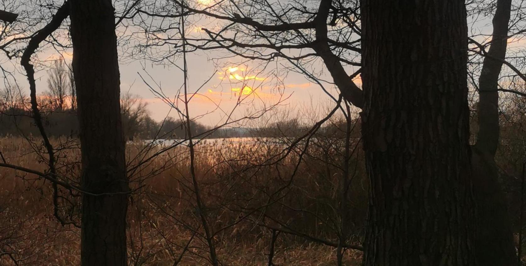 Landhaus Arcadia In Paretz Ketzin Dış mekan fotoğraf
